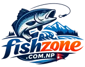 Fish Zone